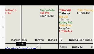 Mệnh Dương Lương Mão Dậu 2005