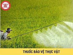 Ô Nhiễm Thuốc Bảo Vệ Thực Vật Là Gì