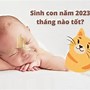 Tuổi Quý Mão Năm 2023 Có Tốt Không